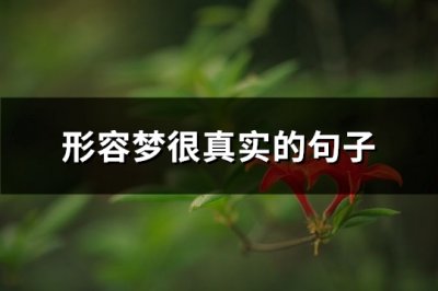 ​形容梦很真实的句子(汇总84句)