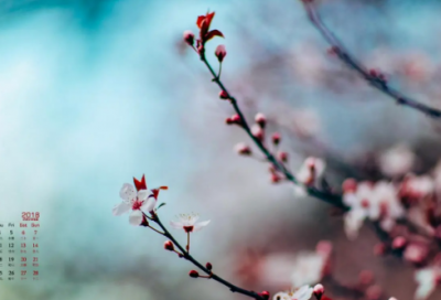 ​重阳节短信祝福