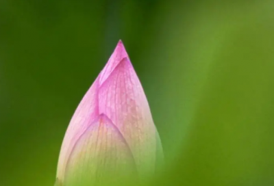 ​端午节祝福短信大全