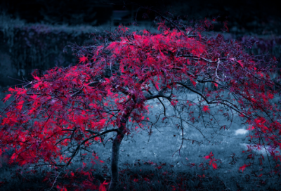 ​六一儿童节家长写给孩子的寄语-100句